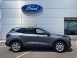 New 2024 Ford Escape Active w/ Cold Weather Package image 4