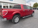 Used 2014 Ford F150 XLT w/ Equipment Group 302A Luxury image 3
