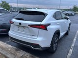 Used 2020 Lexus NX 300h AWD w/ Premium Package image 5