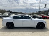 Used 2018 Dodge Charger SXT w/ Blacktop Package image 6