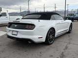 Used 2020 Ford Mustang Premium w/ Equipment Group 201A image 5