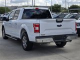 Used 2020 Ford F150 XLT w/ Equipment Group 302A Luxury image 5