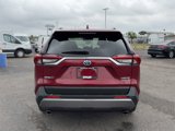 Used 2020 Toyota RAV4 Limited image 4