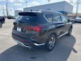 Used 2023 Hyundai Santa Fe SEL w/ Premium Package image 5