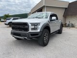 Used 2019 Ford F150 Raptor w/ Equipment Group 802A Luxury image 2