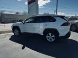 Certified 2020 Toyota RAV4 XLE image 2