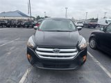 Used 2019 Ford Escape S image 4