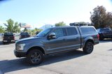 Used 2016 Ford F150 Platinum w/ Equipment Group 701A Luxury image 2