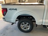 New 2024 Ford F150 XLT w/ Equipment Group 302A MID image 4