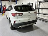 Used 2021 Ford Escape SE image 3