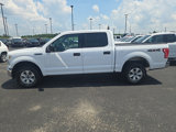 Used 2016 Ford F150 XLT image 2