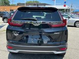 Used 2020 Honda CR-V EX-L image 4