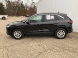 Certified 2024 Ford Escape Active image 2