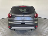 Used 2019 Ford Escape SE image 4