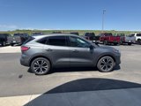 Used 2022 Ford Escape SE w/ SE Sport Appearance Package image 6
