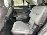 New 2025 Ford Explorer Active w/ Active Comfort Package image 6