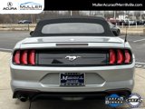 Used 2022 Ford Mustang Premium image 5