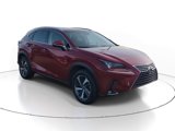 Used 2019 Lexus NX 300h AWD w/ Luxury Package image 2