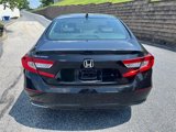 Used 2020 Honda Accord EX-L image 5