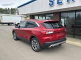 Certified 2021 Ford Escape SEL w/ Technology Package image 4