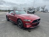 Used 2021 Ford Mustang Convertible w/ Equipment Group 101A image 3
