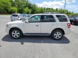 Used 2010 Ford Escape Limited image 2