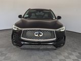 New 2024 INFINITI QX50 Luxe image 3