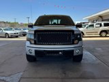 Used 2013 Ford F150 FX4 w/ Luxury Equipment Group image 2