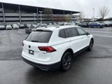 Certified 2024 Volkswagen Tiguan SE w/ Panoramic Sunroof Package image 3