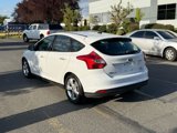 Used 2014 Ford Focus SE w/ SE Winter Package image 4
