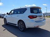 Certified 2024 INFINITI QX80 Premium Select w/ Cargo Package image 5