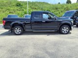 Used 2016 Ford F150 XLT w/ Equipment Group 302A Luxury image 2