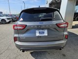 Used 2024 Ford Escape ST-Line image 4