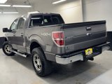 Used 2014 Ford F150 XLT w/ Equipment Group 302A Luxury image 5