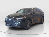 Used 2024 Lexus NX 250 FWD image 6
