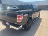 Used 2010 Ford F150 4x4 SuperCrew image 6