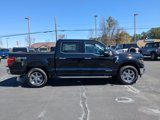 New 2025 Ford F150 XLT w/ Equipment Group 301A Standard image 3