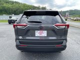 New 2025 Toyota RAV4 XLE Premium image 4