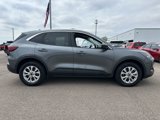 Certified 2023 Ford Escape Active image 4
