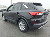Used 2021 Ford Escape SE w/ Convenience Package image 4