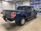 Used 2012 Ford F150 XLT w/ XLT Chrome Pkg image 5