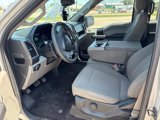 Used 2017 Ford F150 XLT image 5