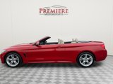 Used 2016 BMW 428i xDrive Convertible image 5