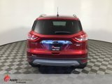 Used 2015 Ford Escape Titanium image 6