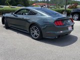 Used 2015 Ford Mustang Premium image 3
