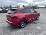 New 2024 Ford Escape ST-Line w/ Tech Pack #1 image 5