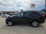 Used 2024 Toyota RAV4 XLE image 2
