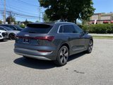 Used 2019 Audi e-tron Prestige image 6