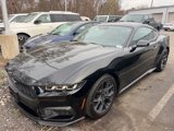 Certified 2024 Ford Mustang Premium w/ 2.3L High Performance Package image 3