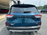 Used 2020 Ford Escape Titanium w/ Titanium Premium Package 2.0 image 6
